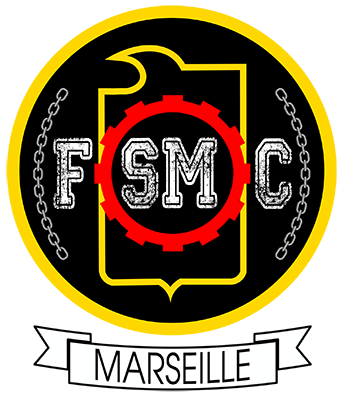 Logo FSMC